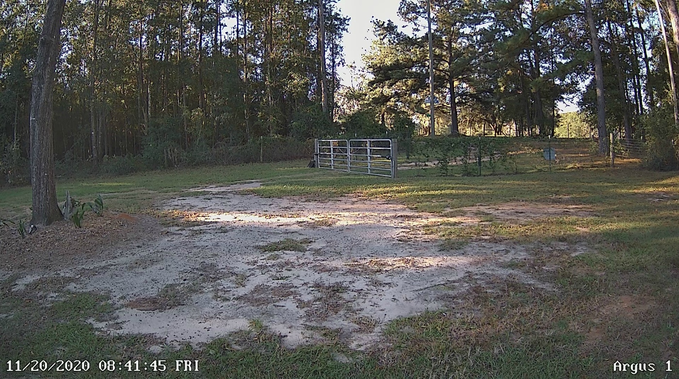 gate-cam.jpg