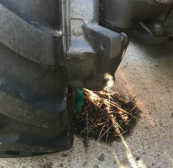 gc1705_axle_leak_2022_2.jpg