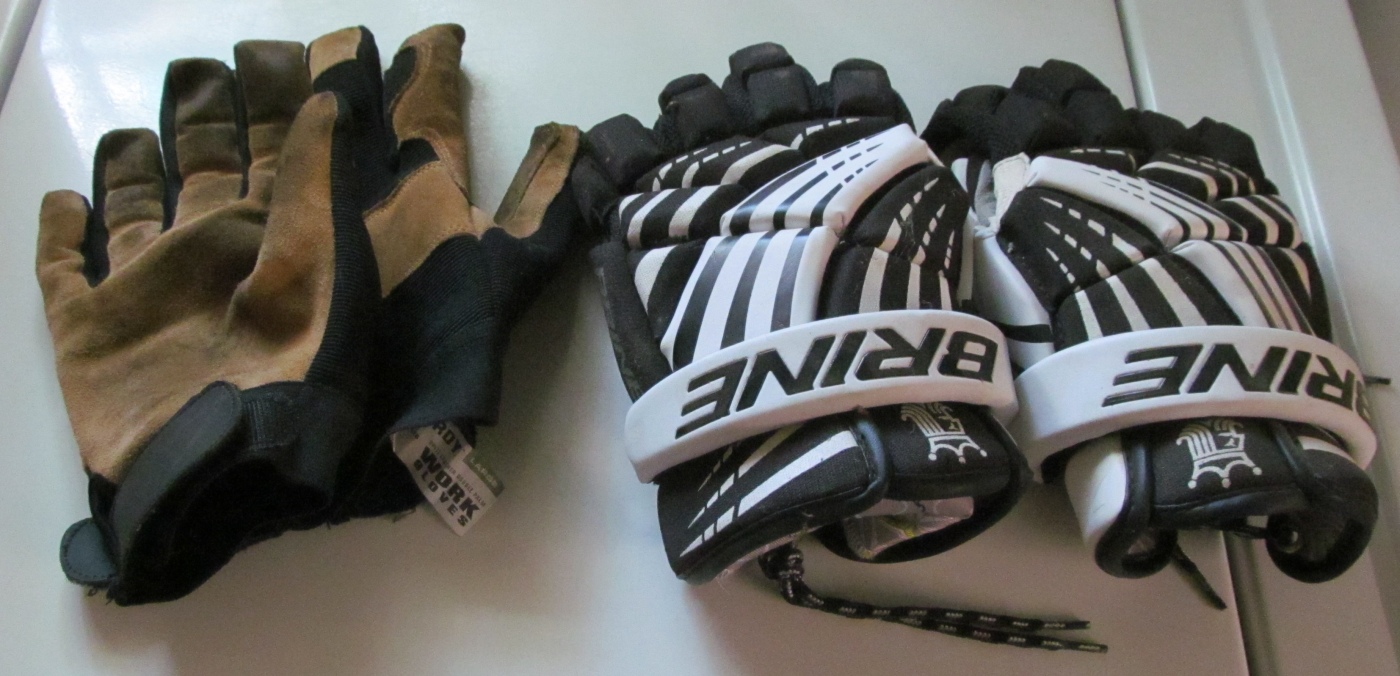 gloves.jpg