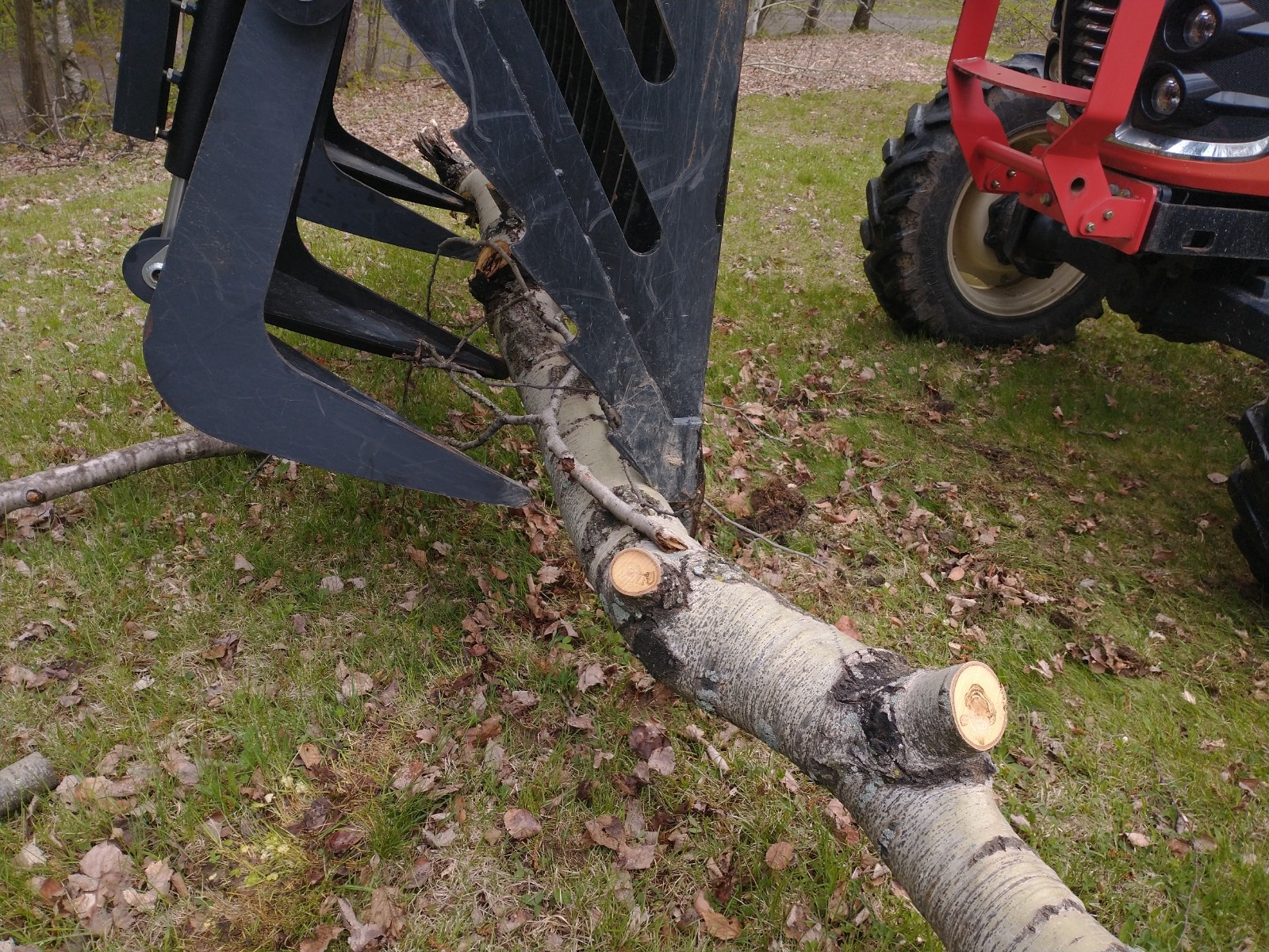 grapple 3.jpg