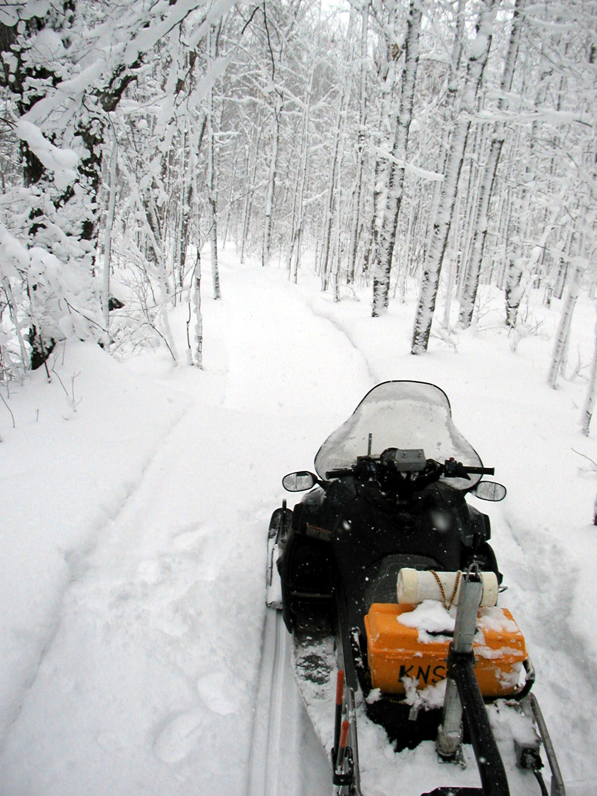 Grooming river trail Dec 08.jpg