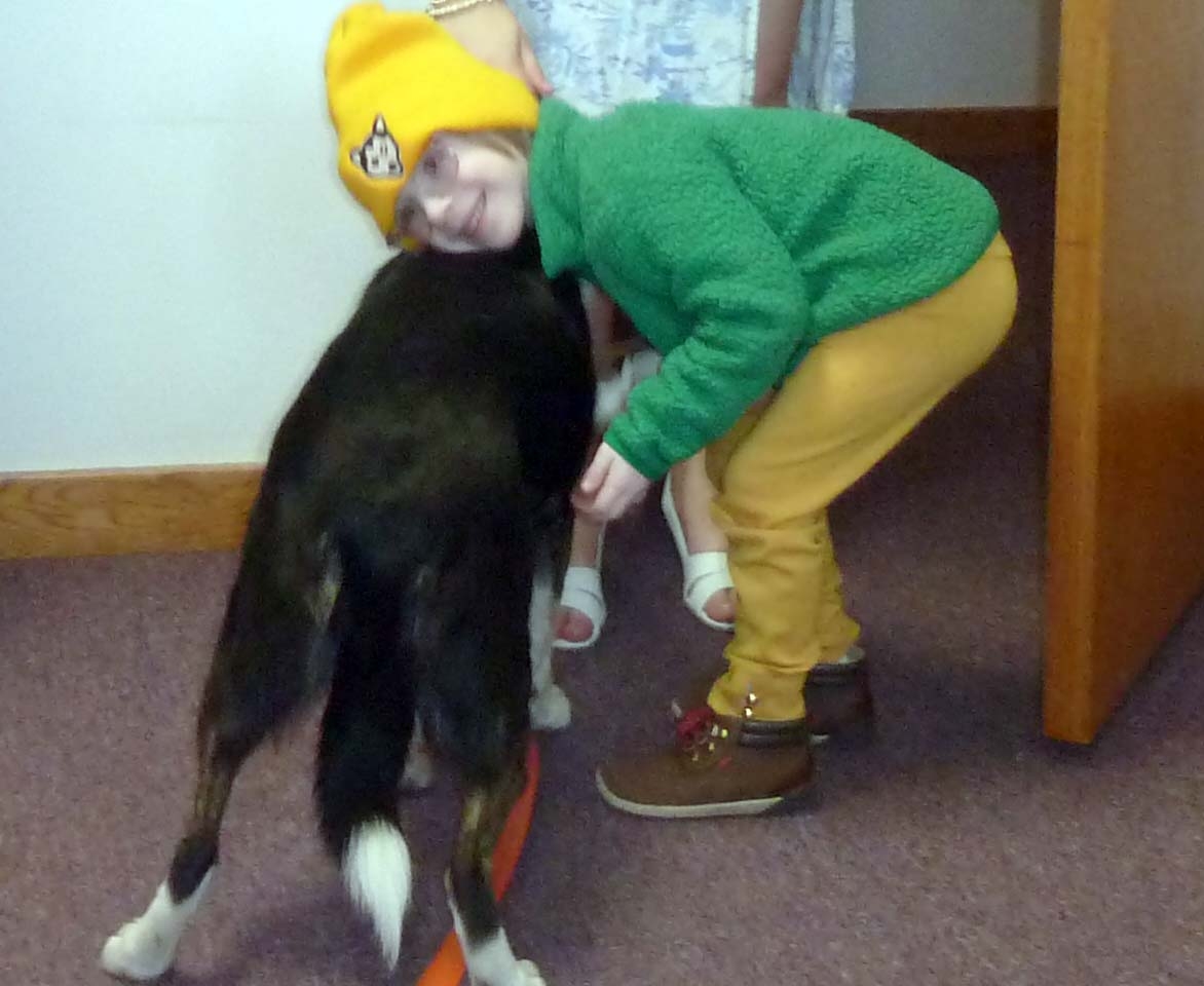 gsdogs498.jpg