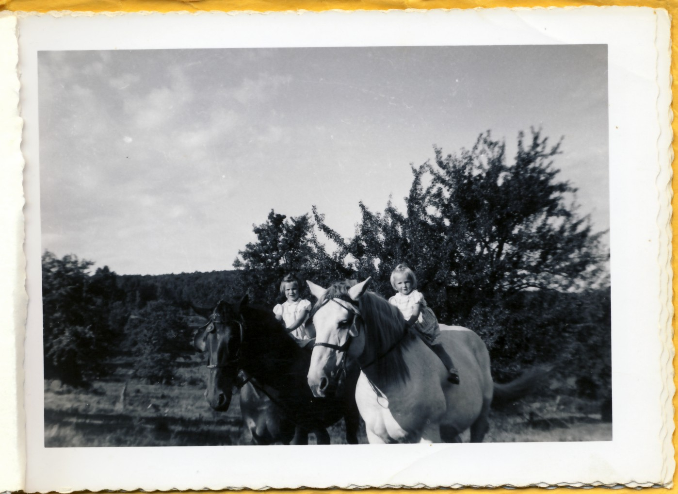 Hallstead Horse Riders-x,x.jpg