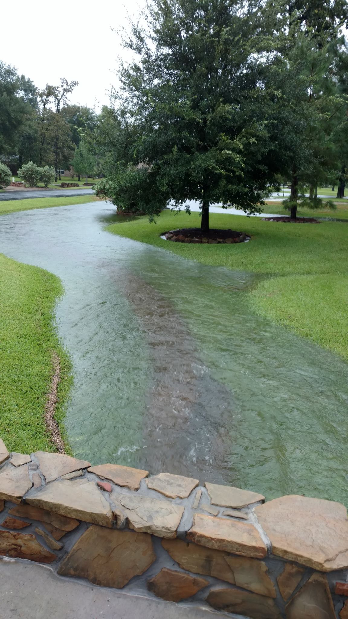 Harvey Water.jpg