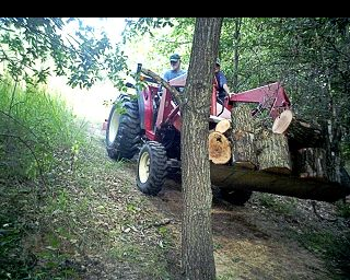 hauling wood.png
