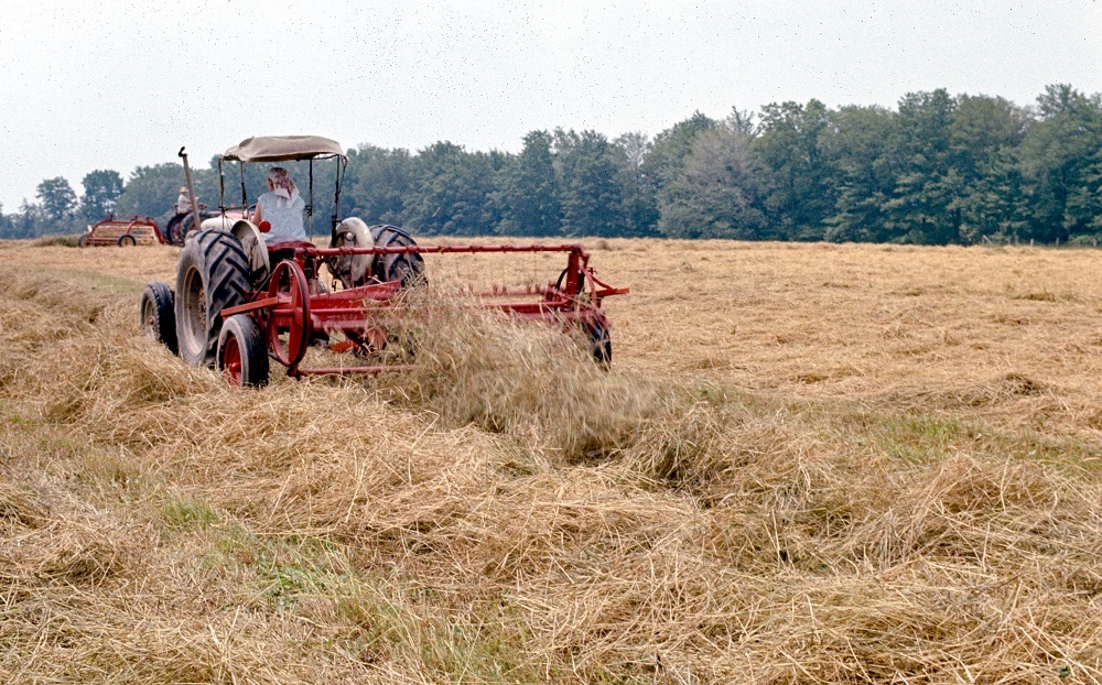 Haying 1972r (2).jpg