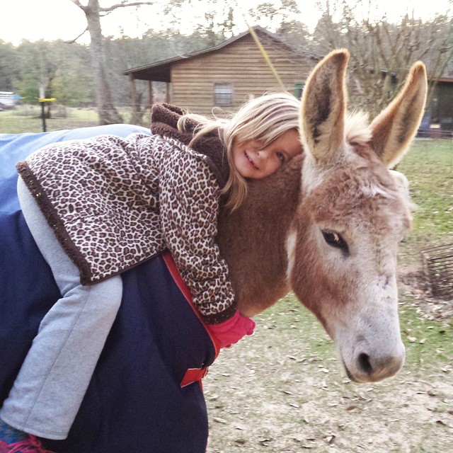 Haylie-on-Donald.jpg