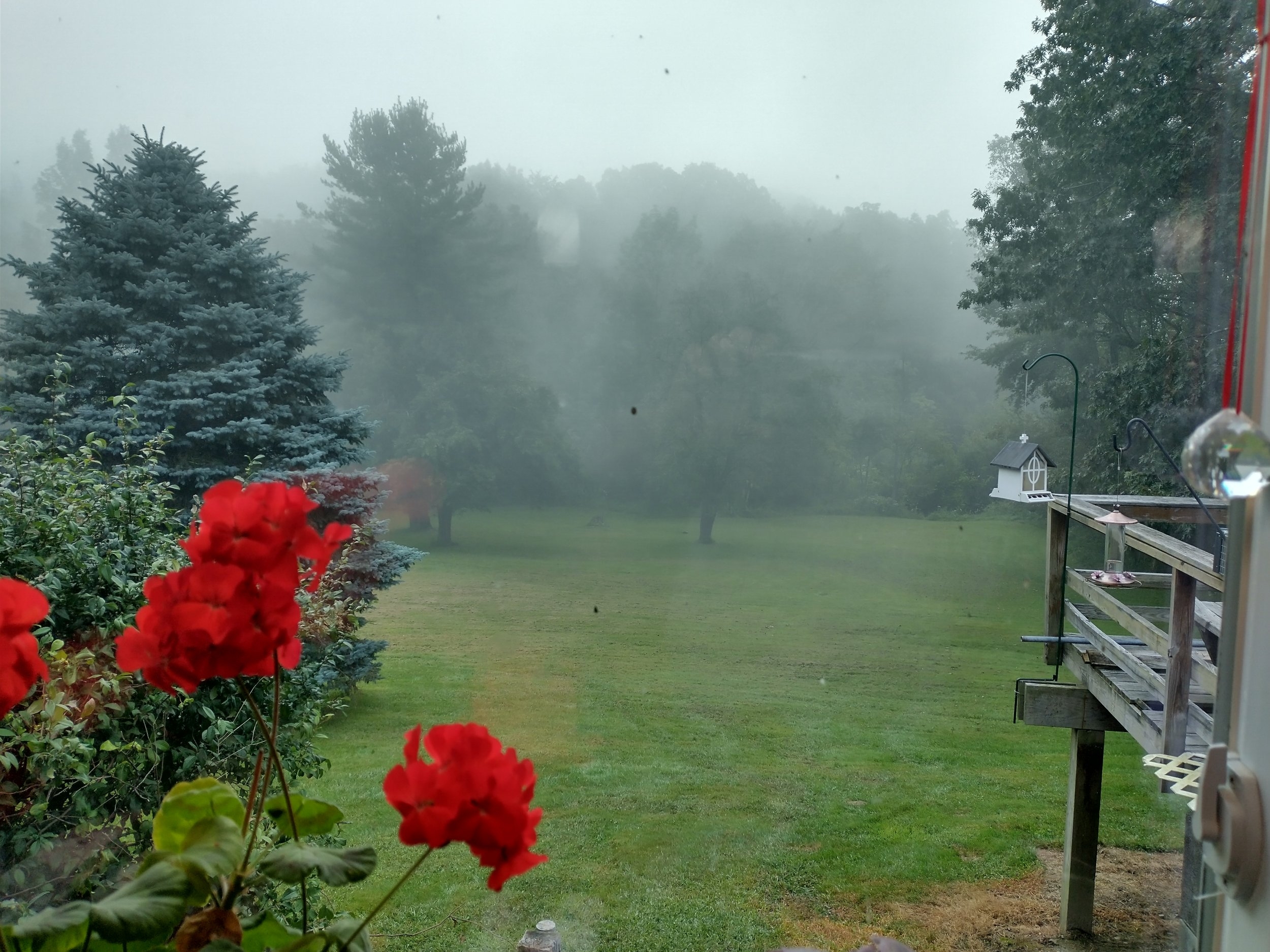 hazy hot humid morning Sep 5 2023 74F and 94%Rh.jpg