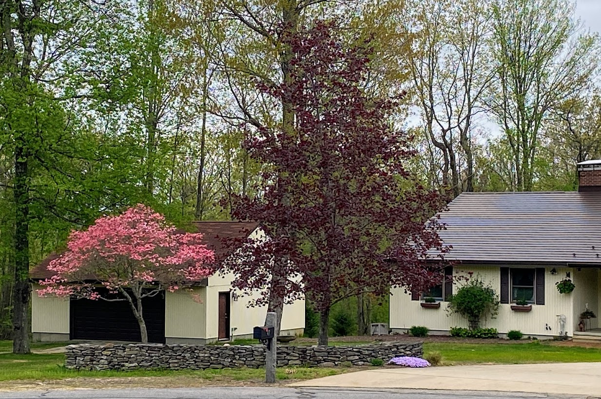 house5-15-22.JPG