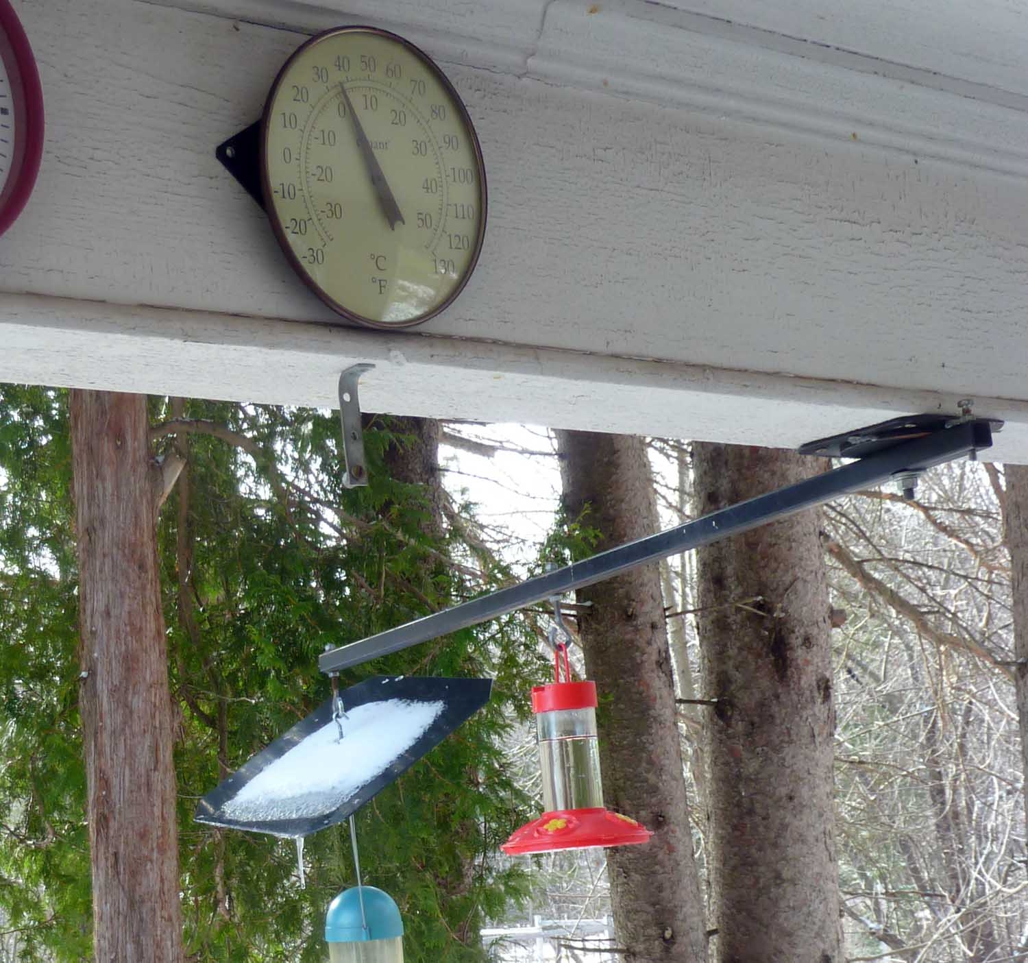hummerfeeder29.jpg