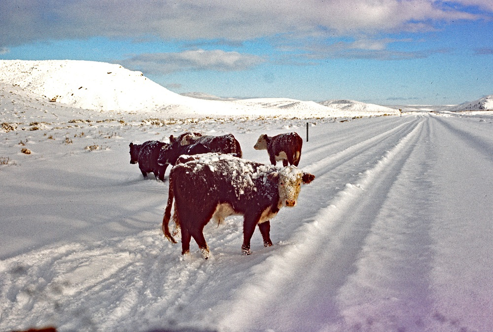 Hwy361 r tbn.jpg