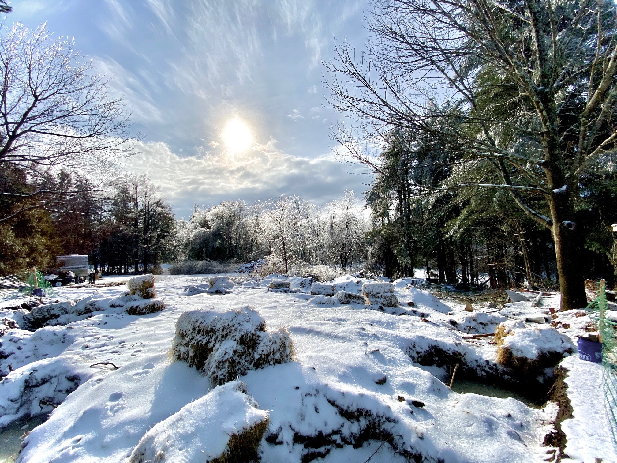 Ice Storm 11.jpeg
