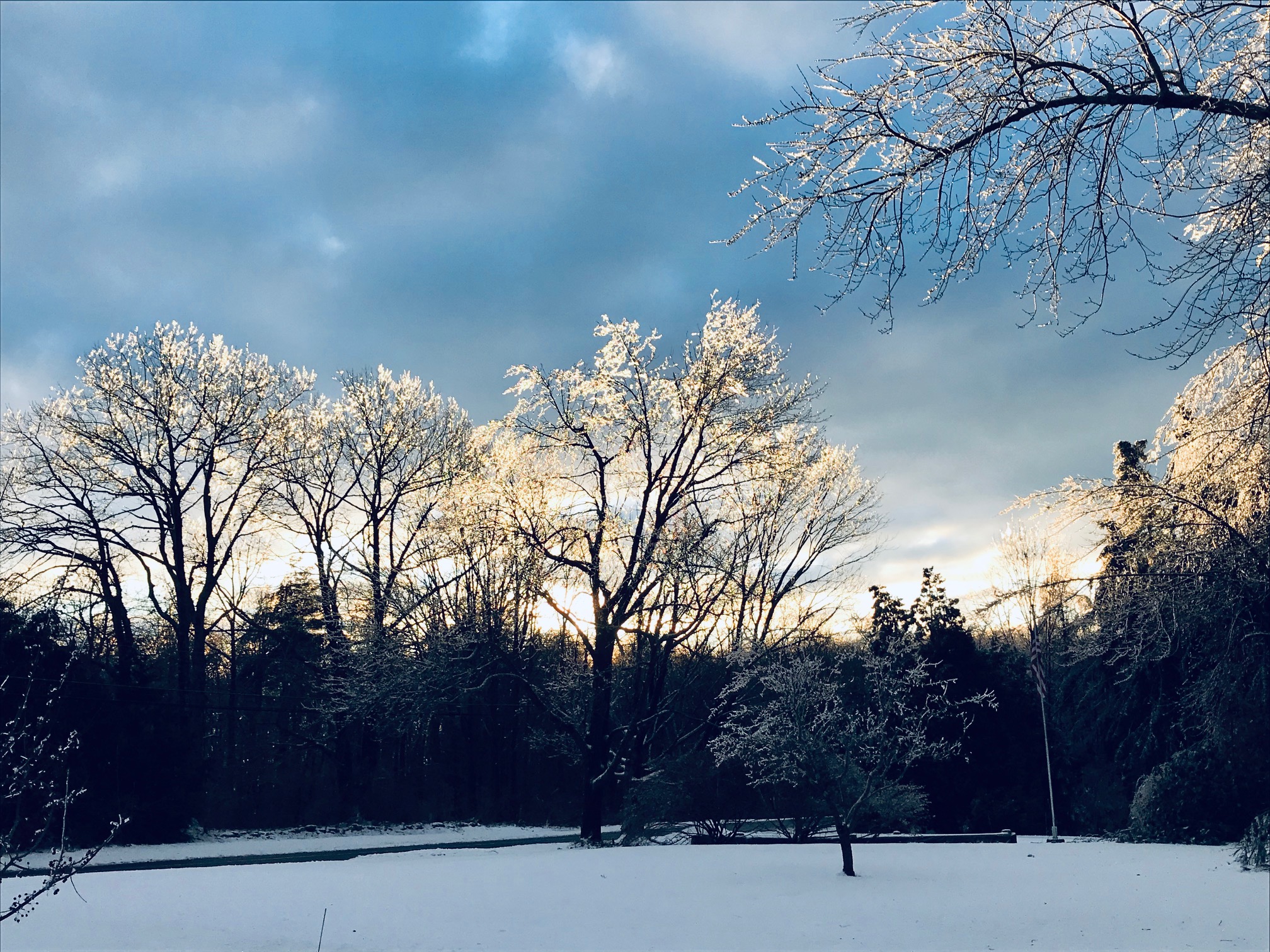 Ice Storm 4.jpeg