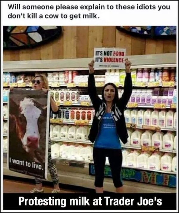 idiot vegans.jpg