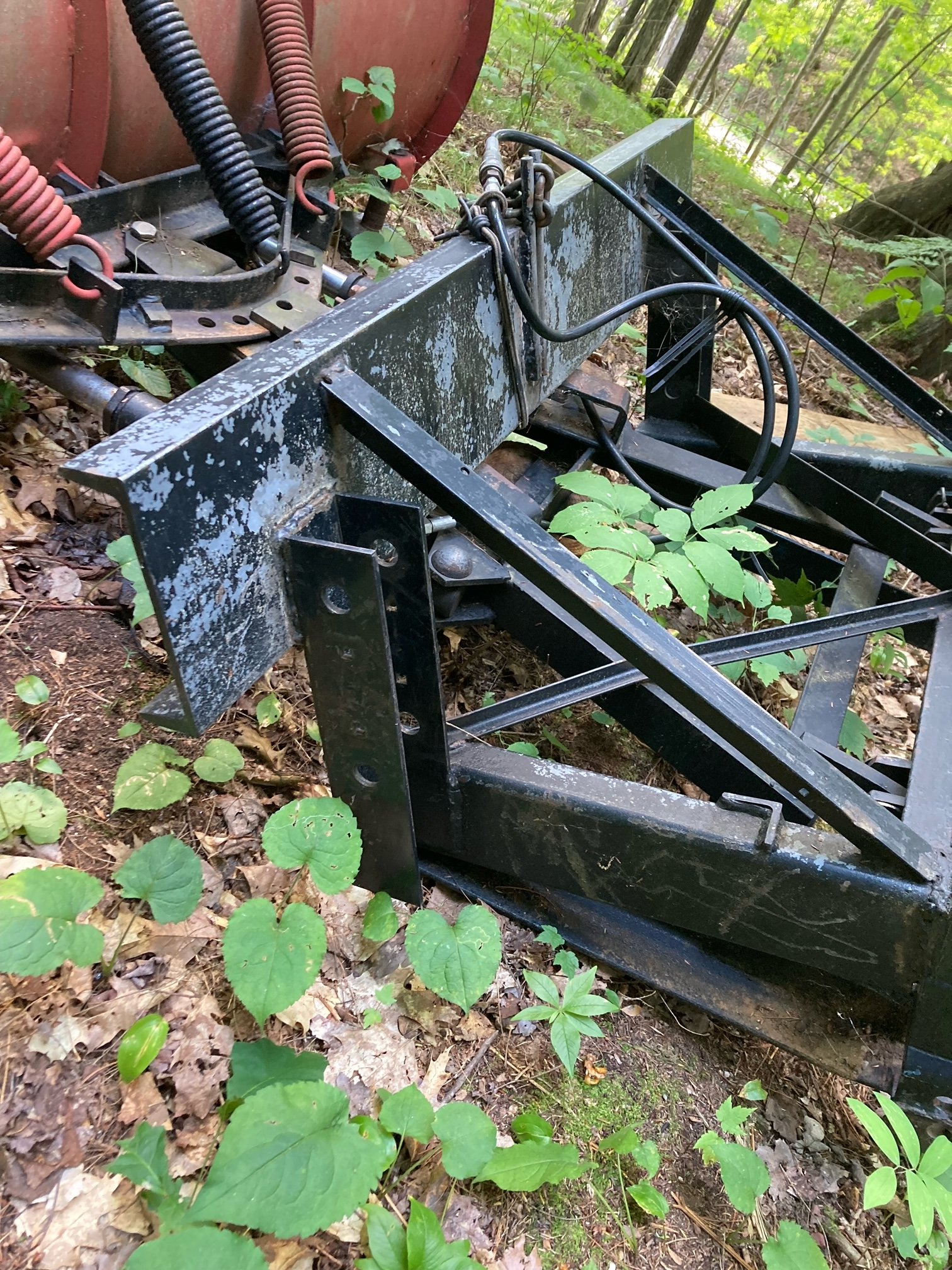 image4.jpeg