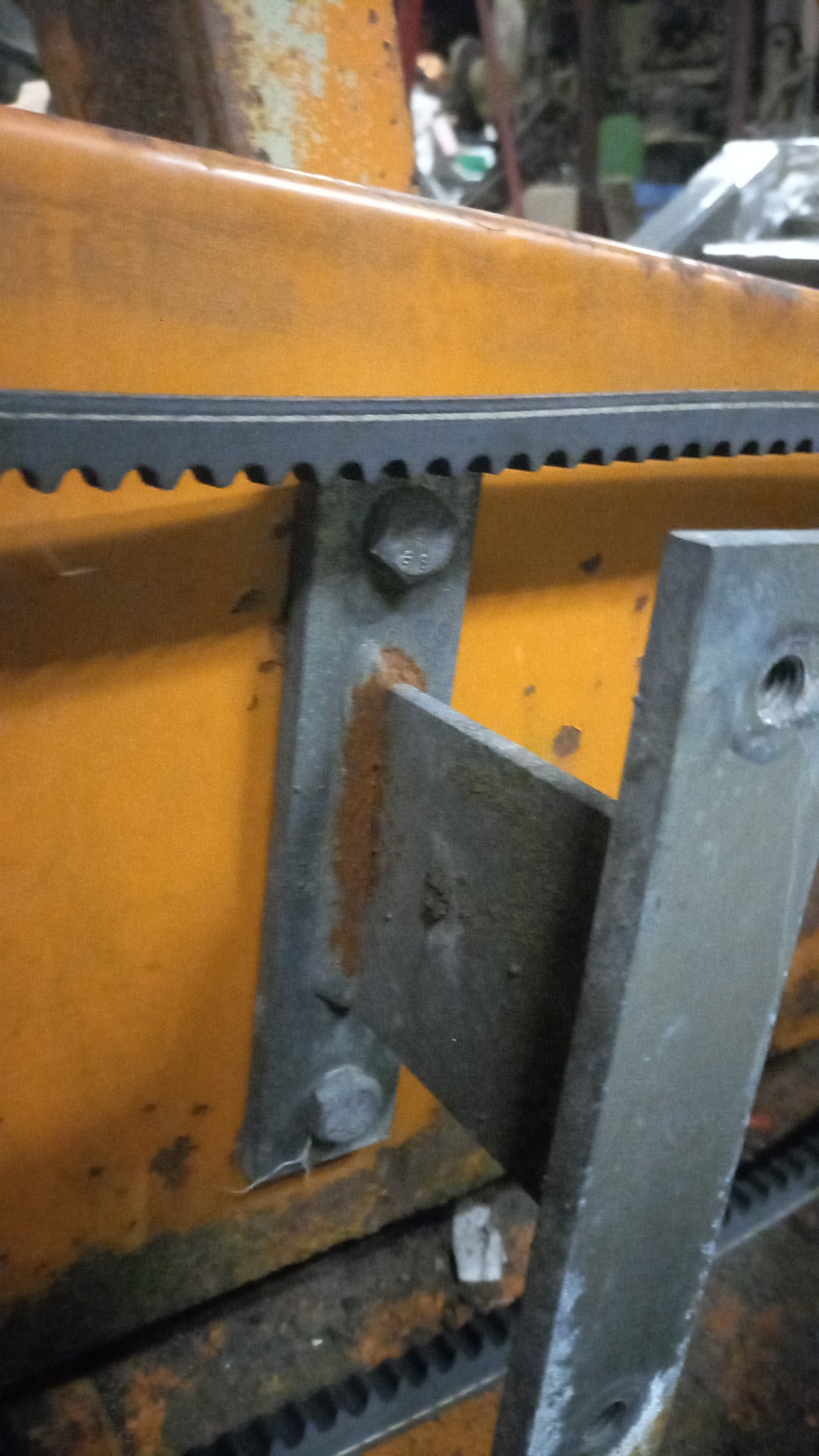IMG-20231209-WA0009.jpeg
