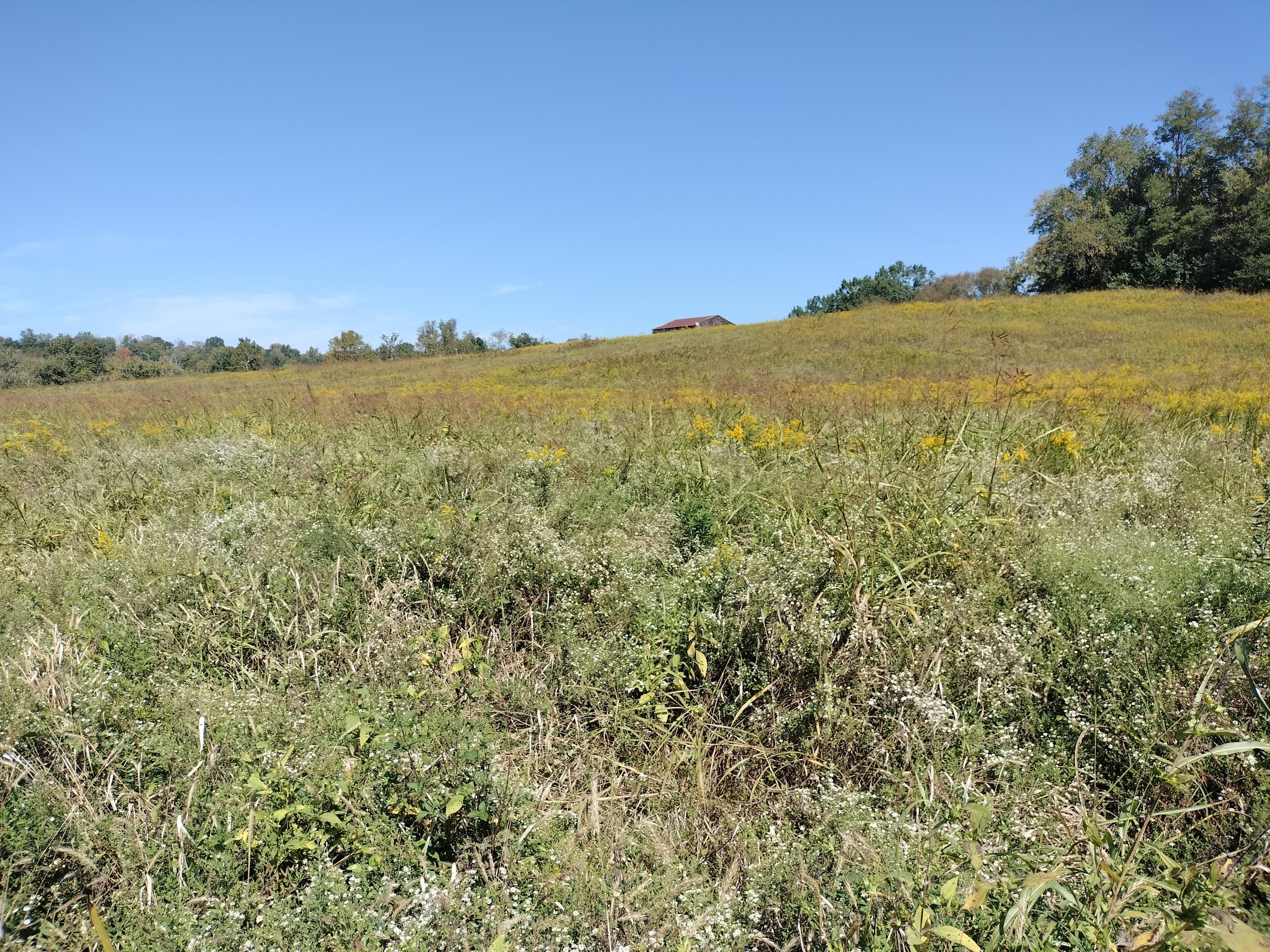 IMG20230923121059.jpg