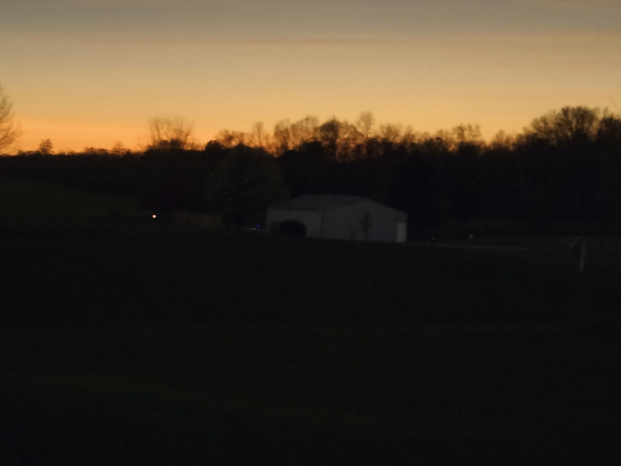 IMG20240408150639.jpg