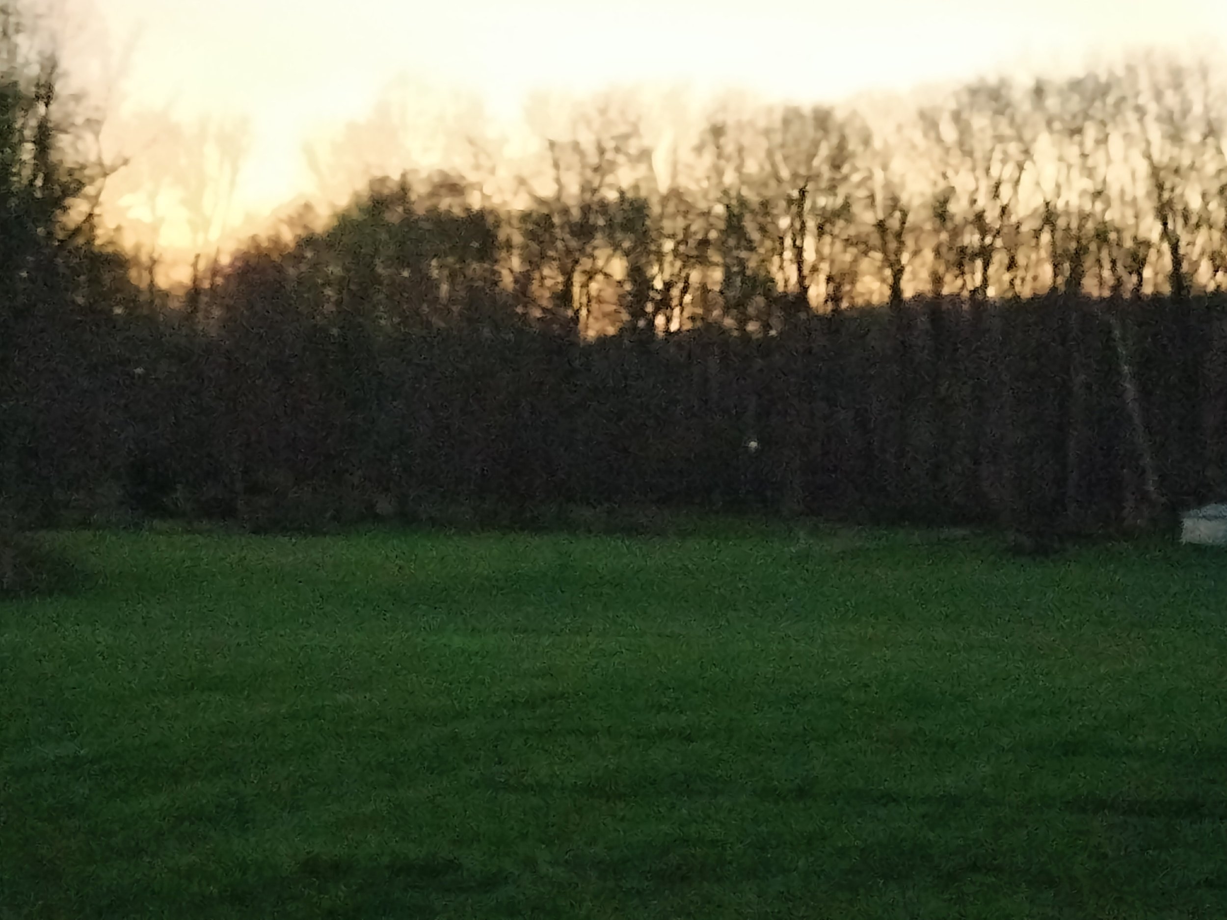IMG20240408150641.jpg