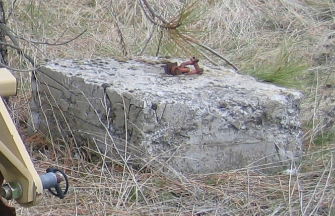 IMG_0019a.jpeg