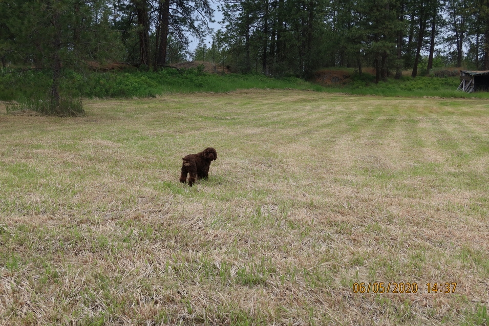 IMG_0083.jpeg