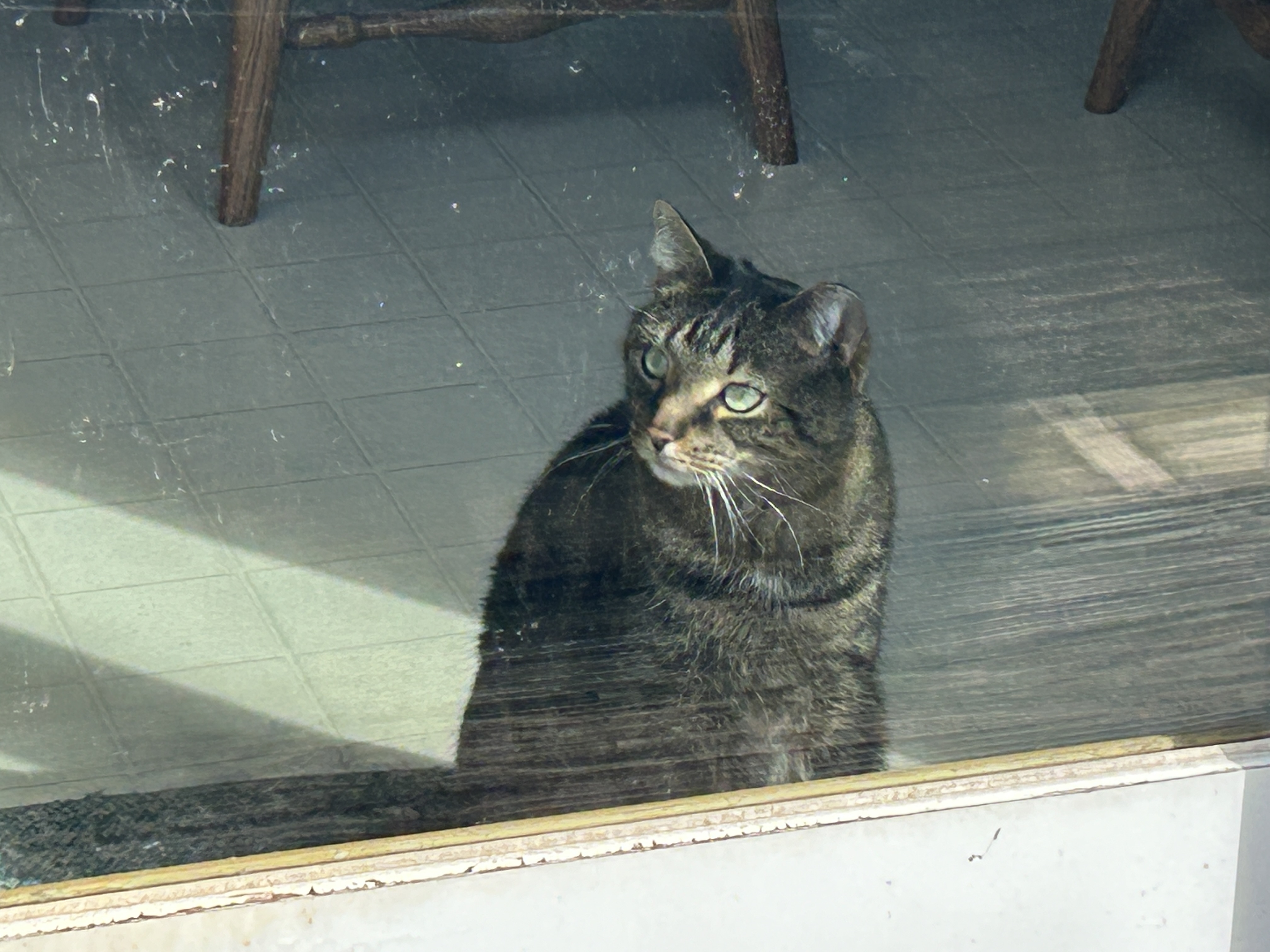 IMG_0145.jpeg
