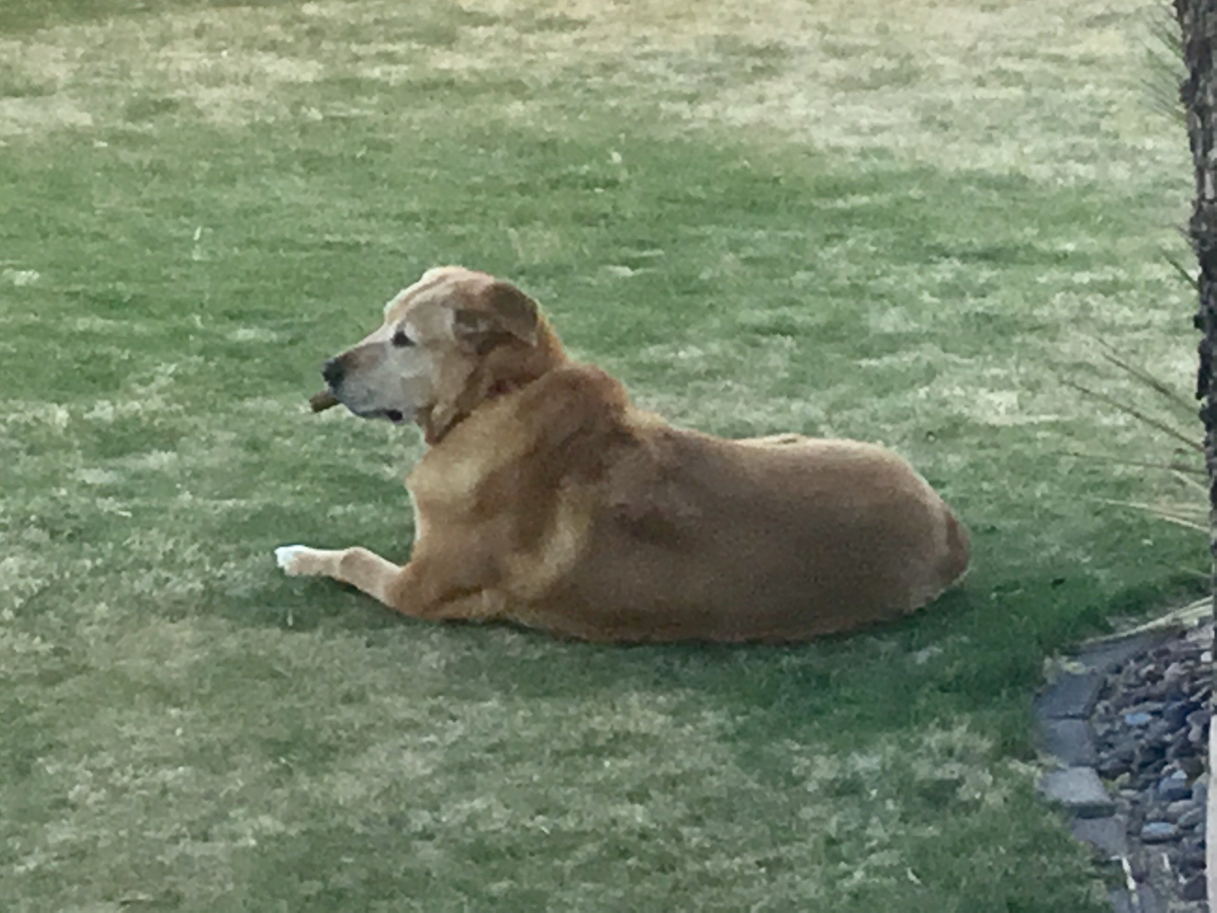 IMG_0705.jpeg