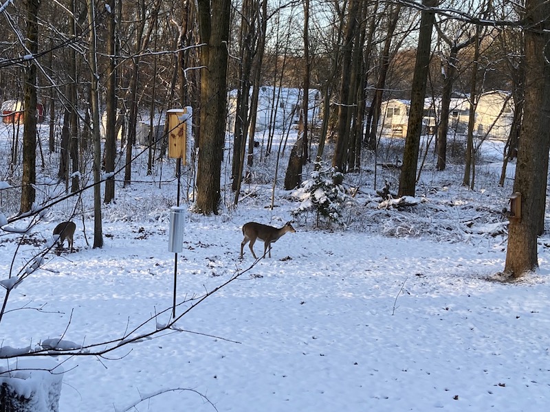 IMG_0722 copy.jpg