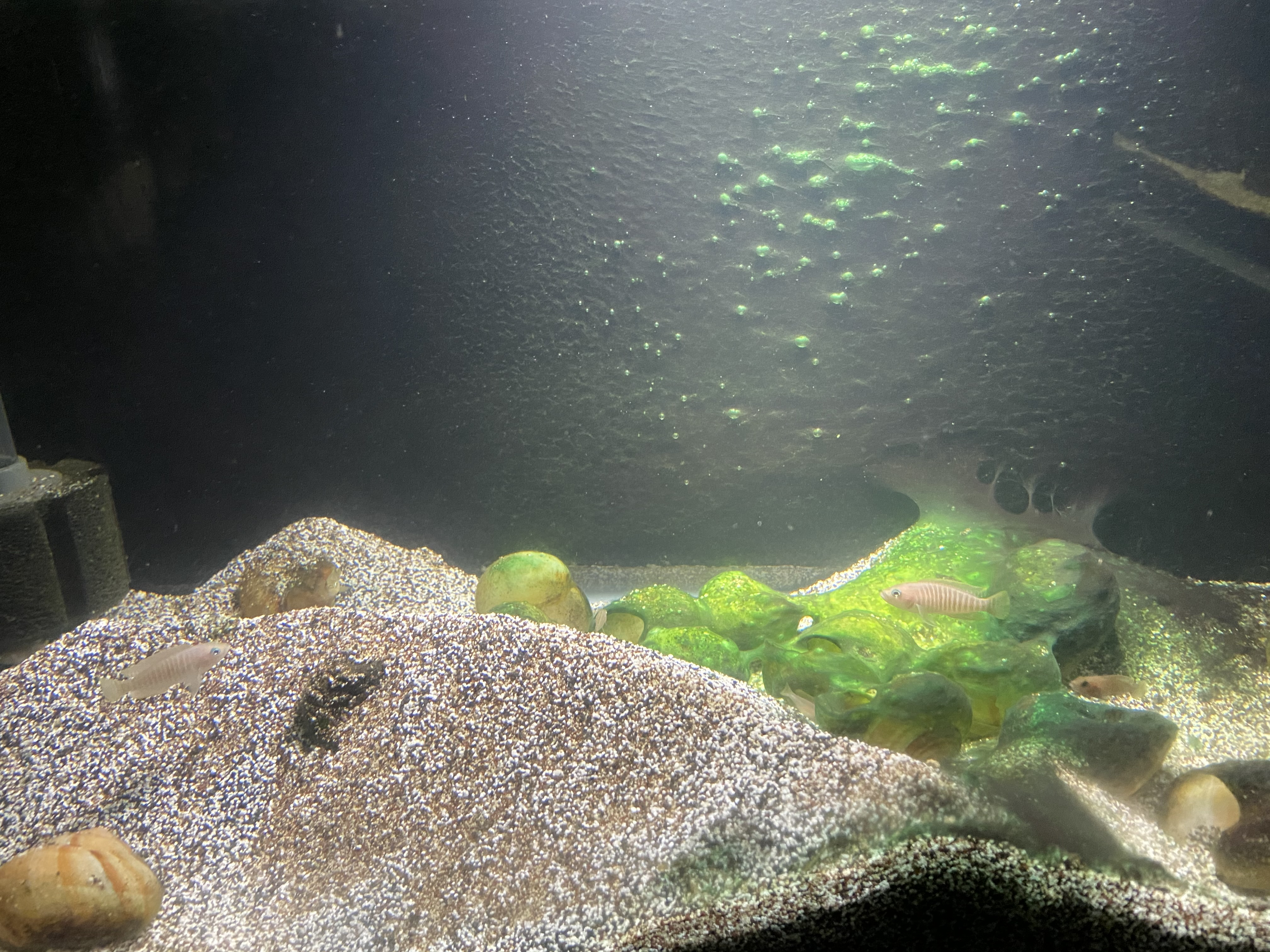 IMG_0857.jpg