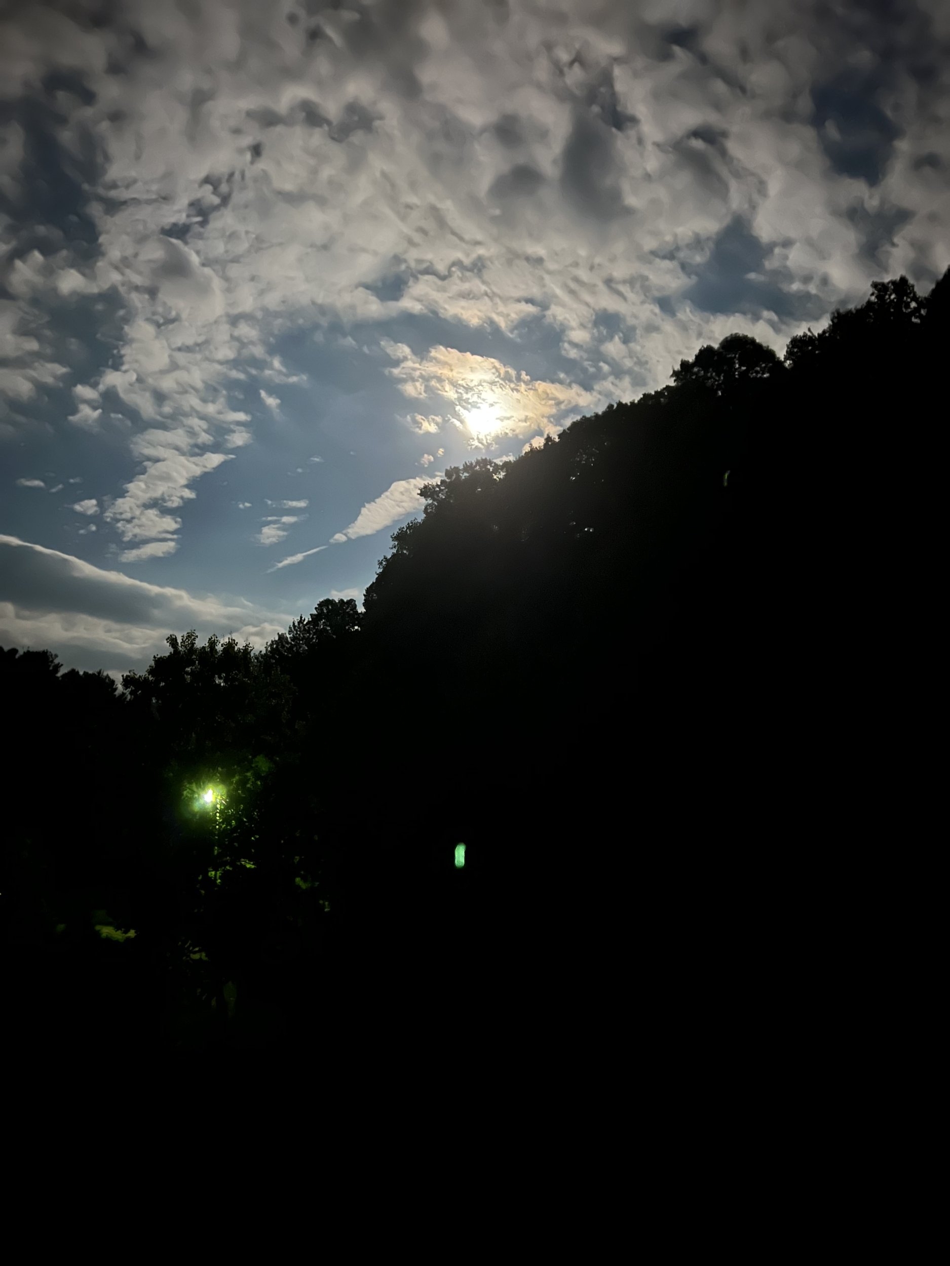 IMG_0924.jpeg