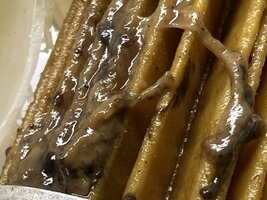 IMG_0928.jpeg