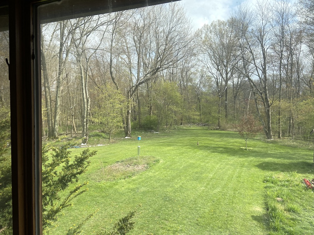 IMG_1005 copy.jpg