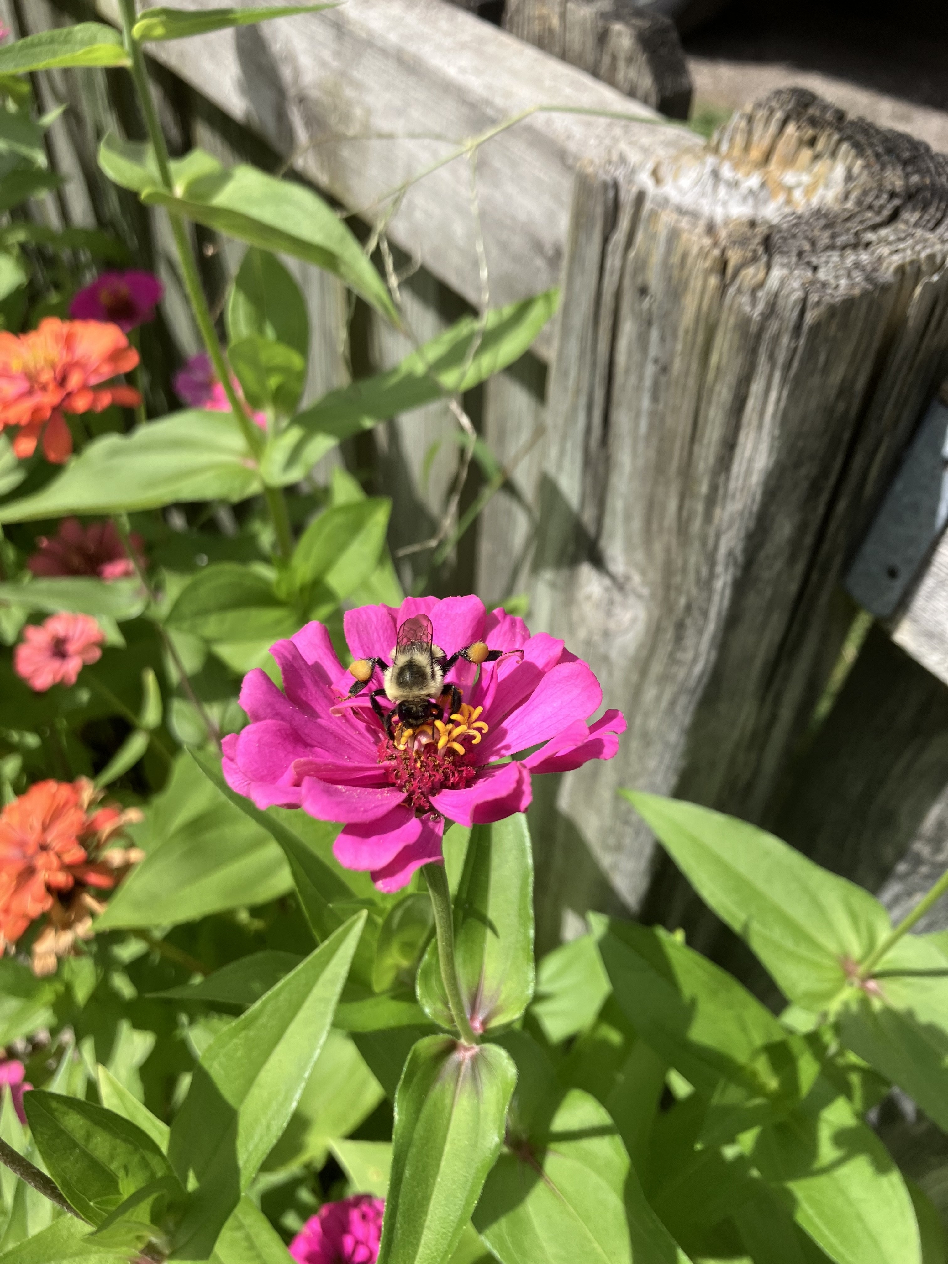IMG_1042.jpeg