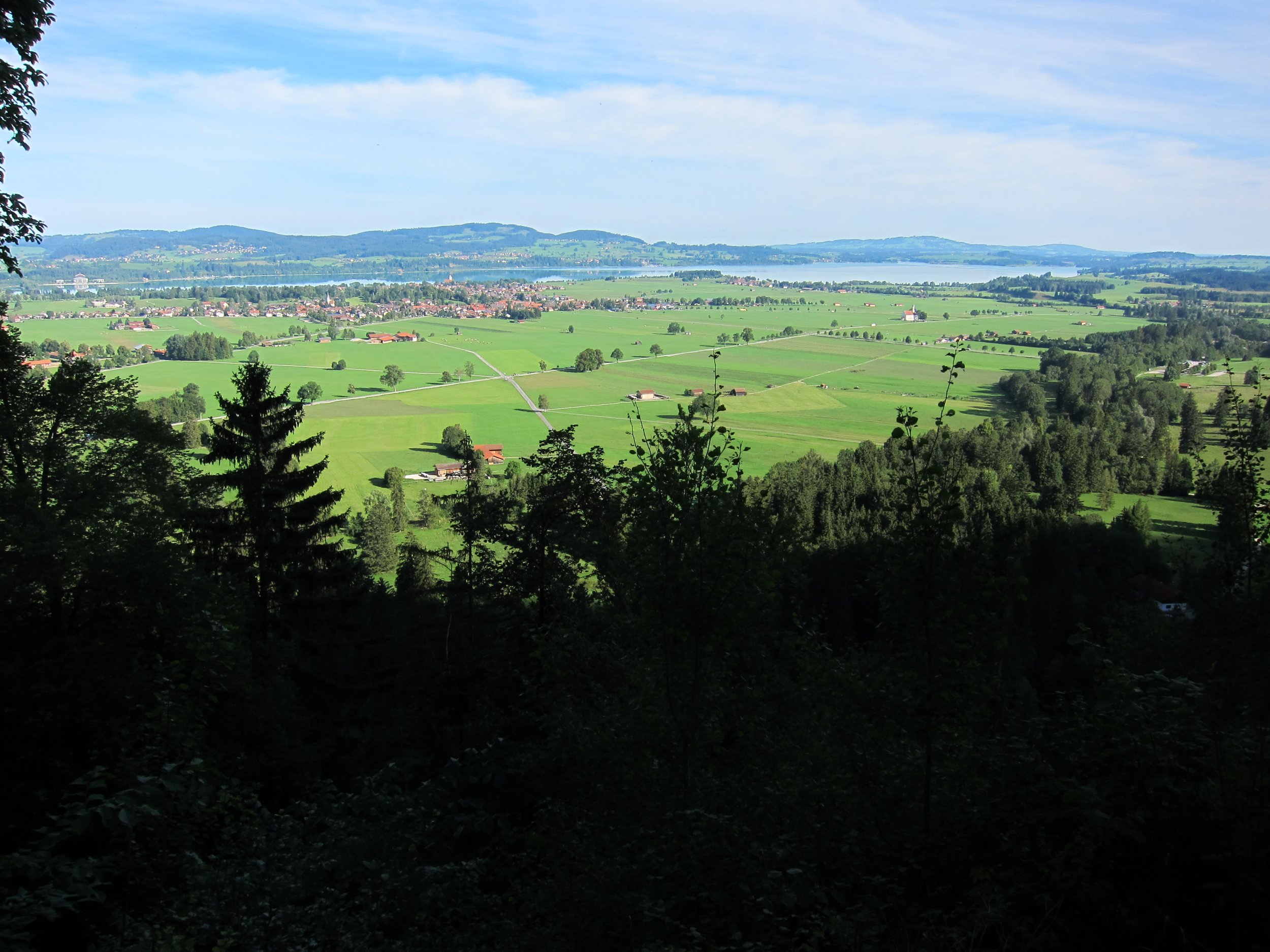 IMG_1071.JPG