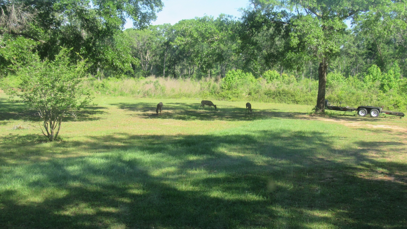IMG_1073.JPG