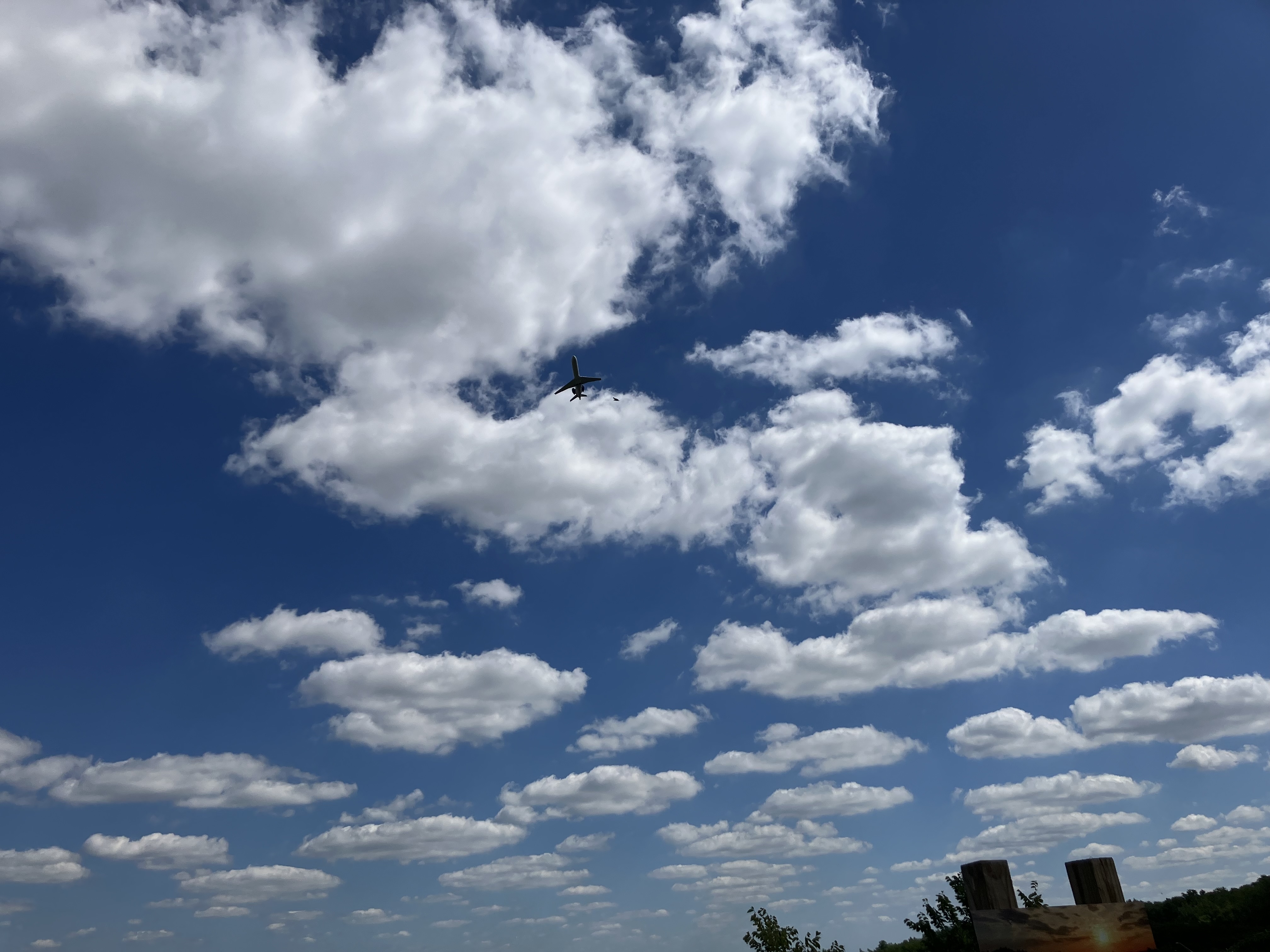 IMG_1112.jpeg
