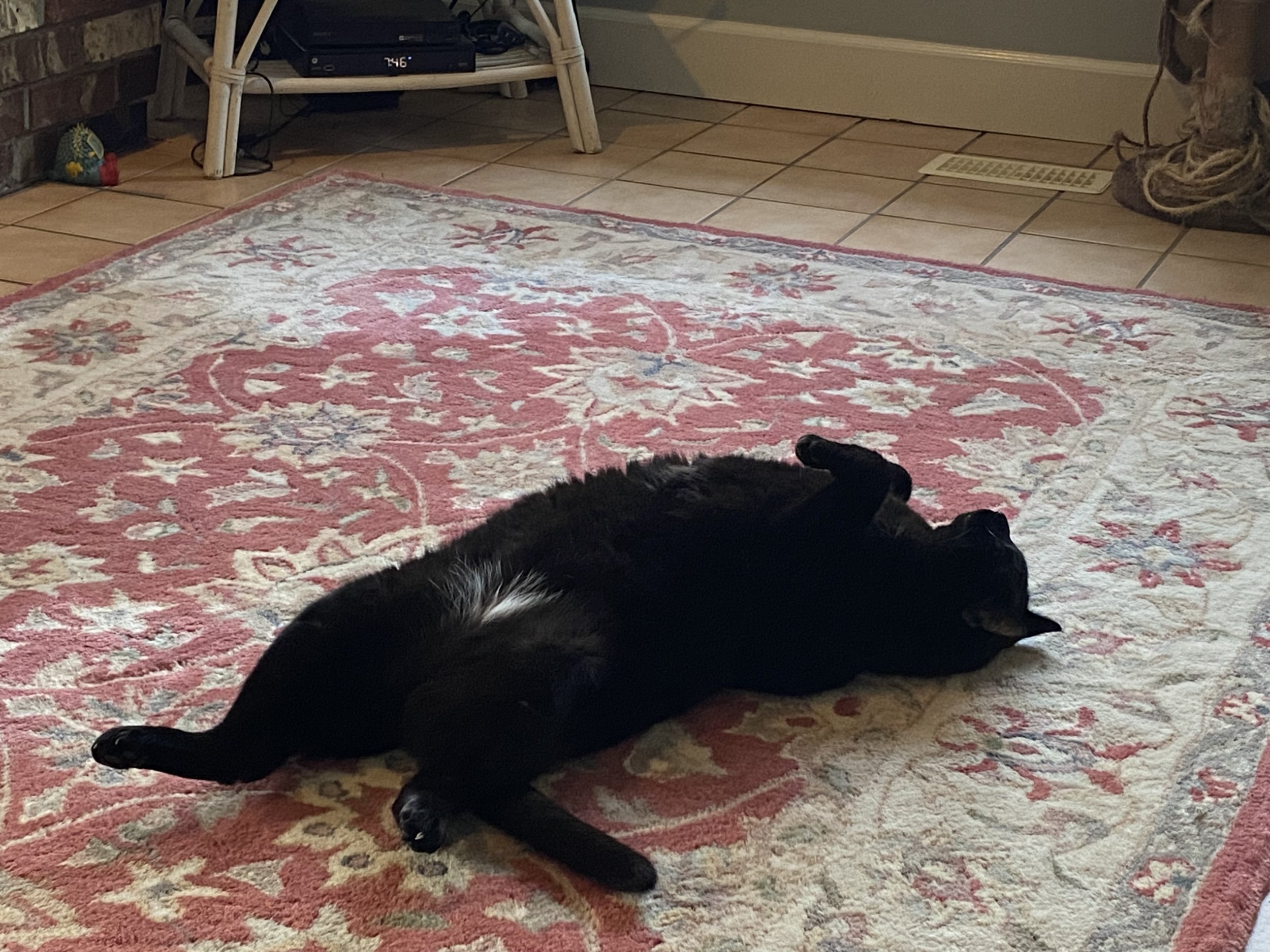 IMG_1397.jpeg
