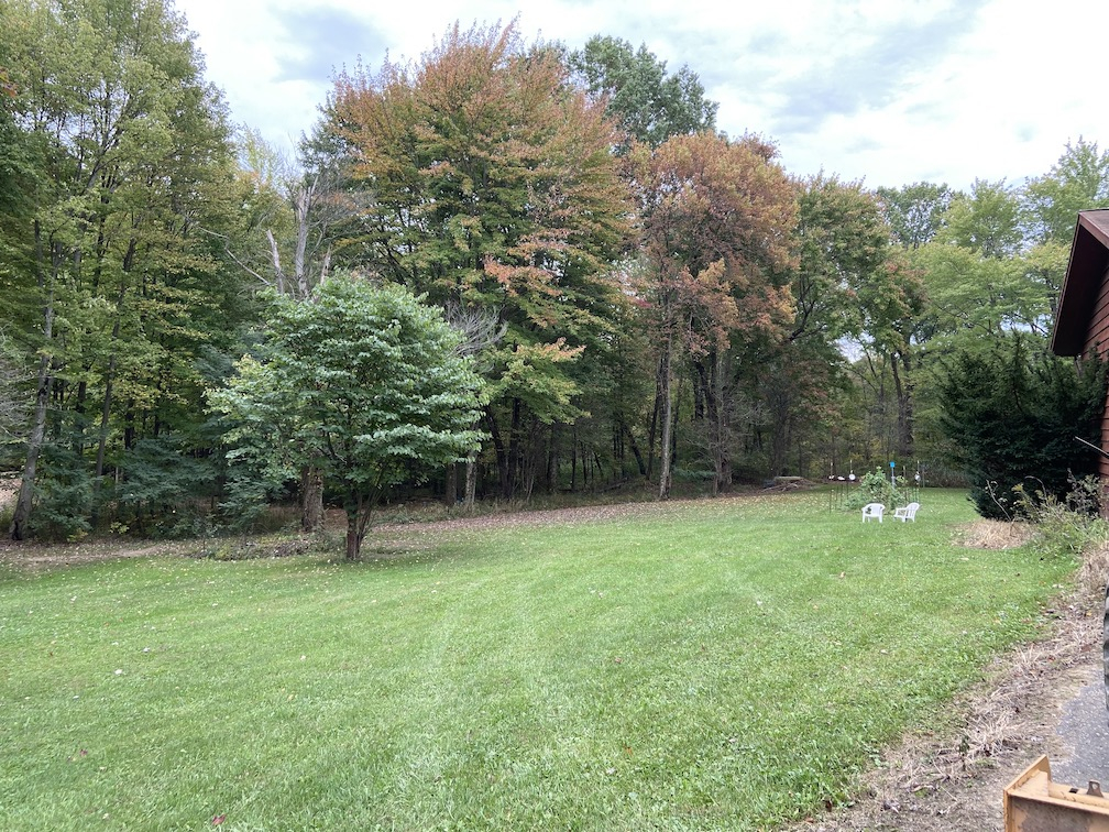 IMG_1399 copy.jpg