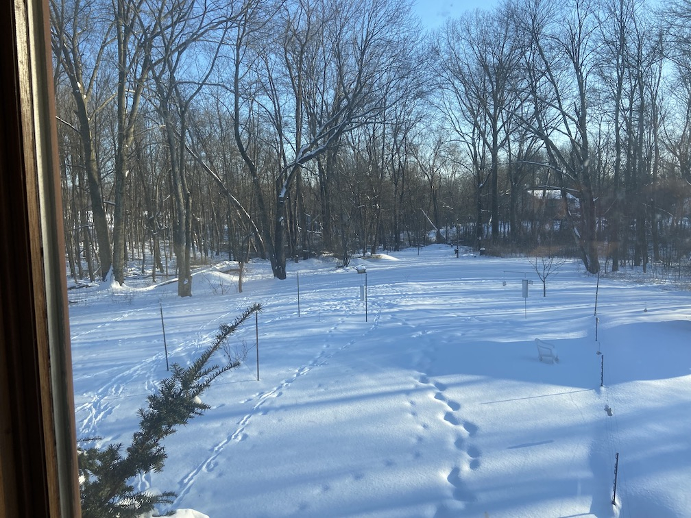 IMG_1501 copy.jpg