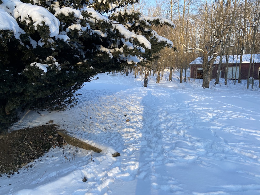 IMG_1502 copy.jpg