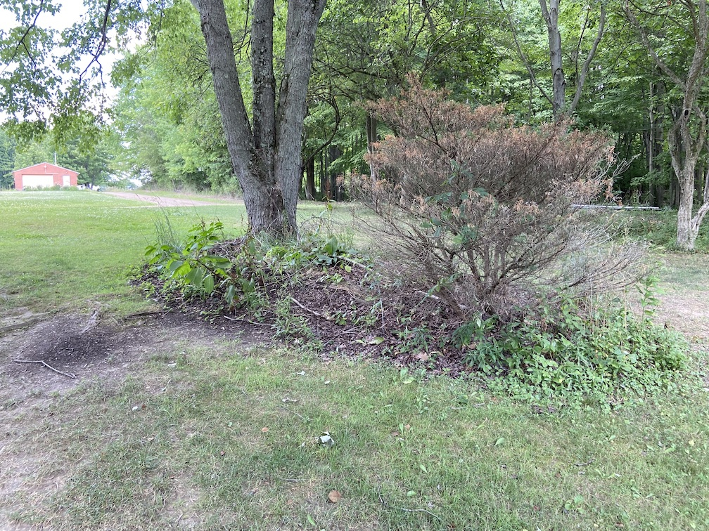 IMG_1865 copy.jpg