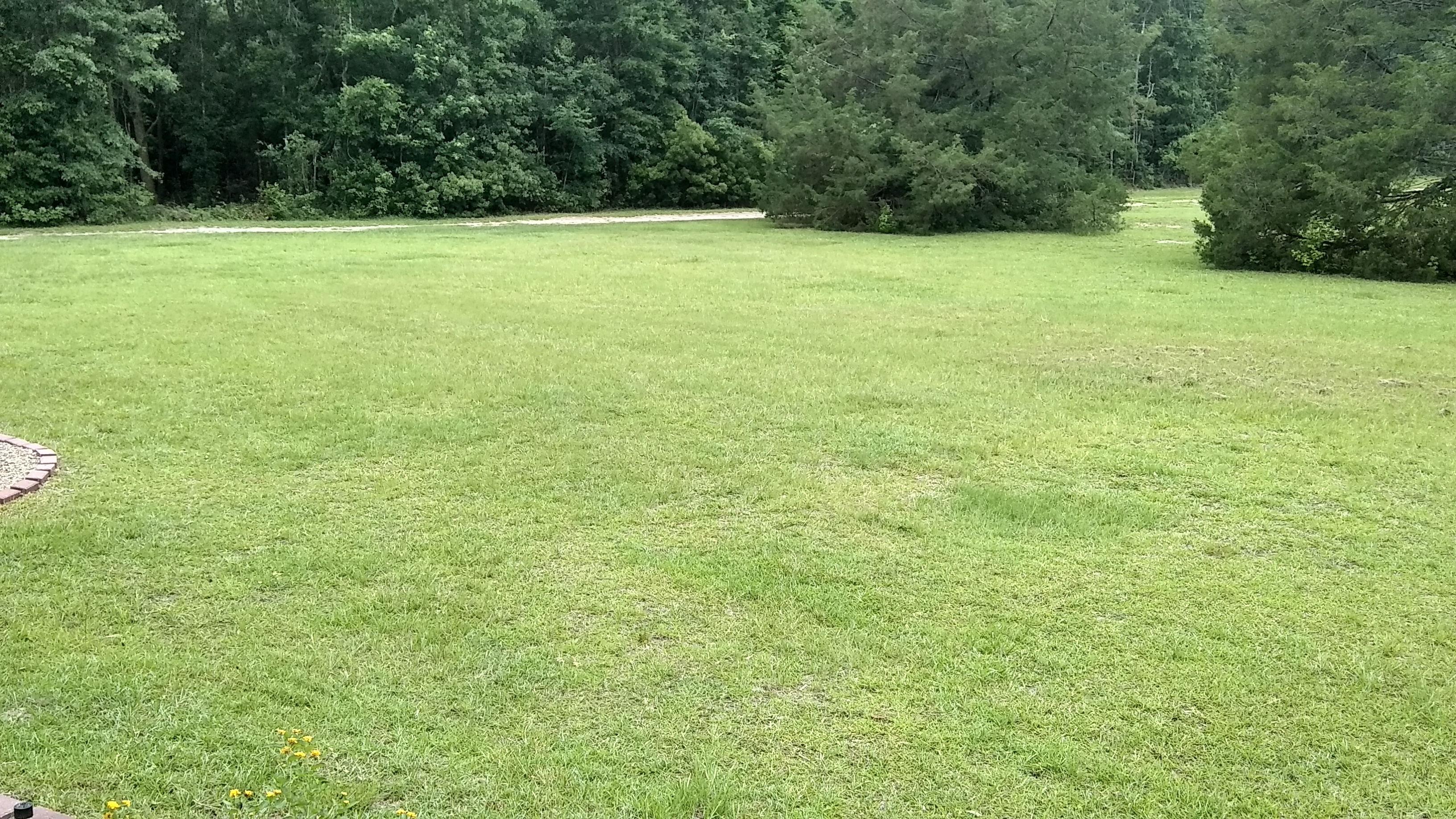 IMG_20180606_093145664_HDR.jpg