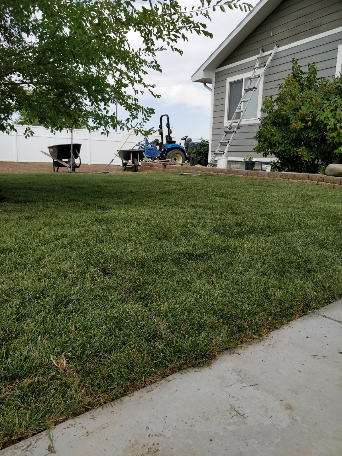 IMG_20180906_131034.jpg