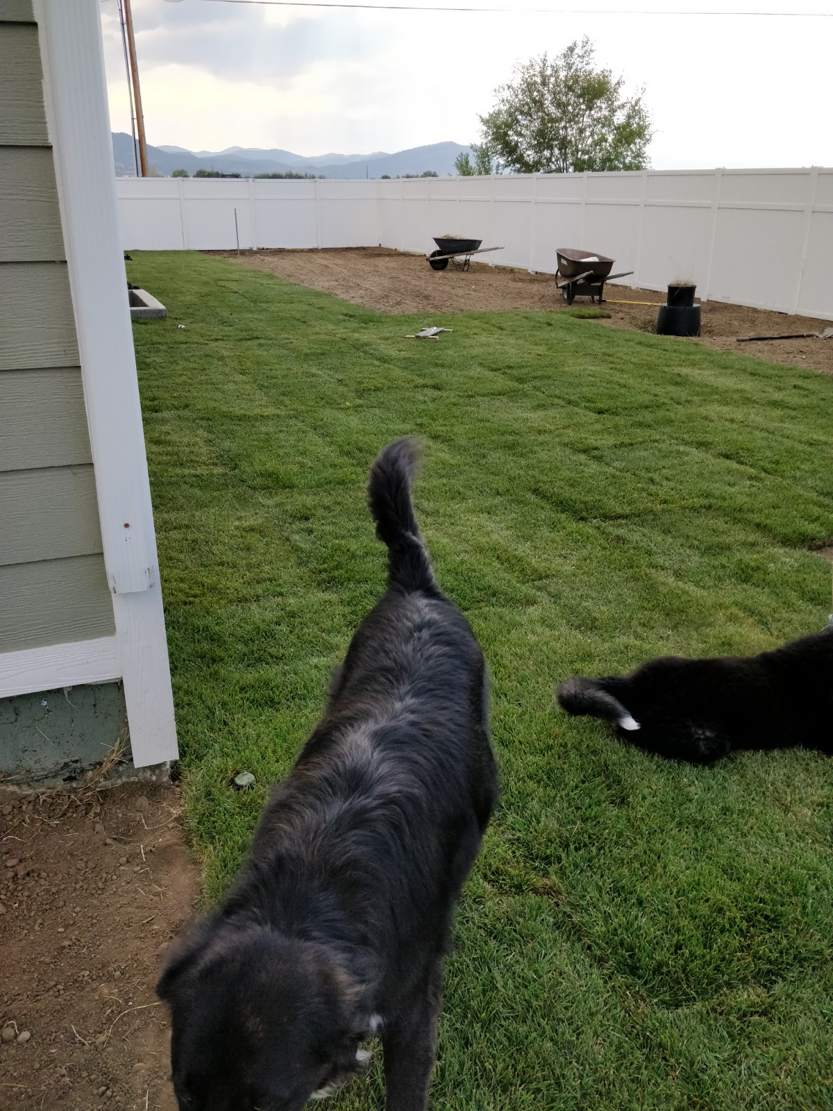 IMG_20180906_173058.jpg