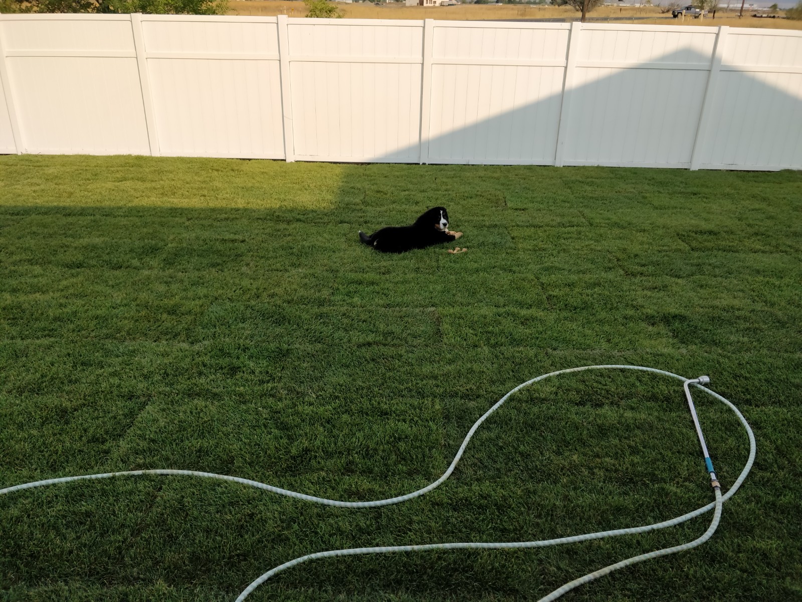 IMG_20180908_092020.jpg