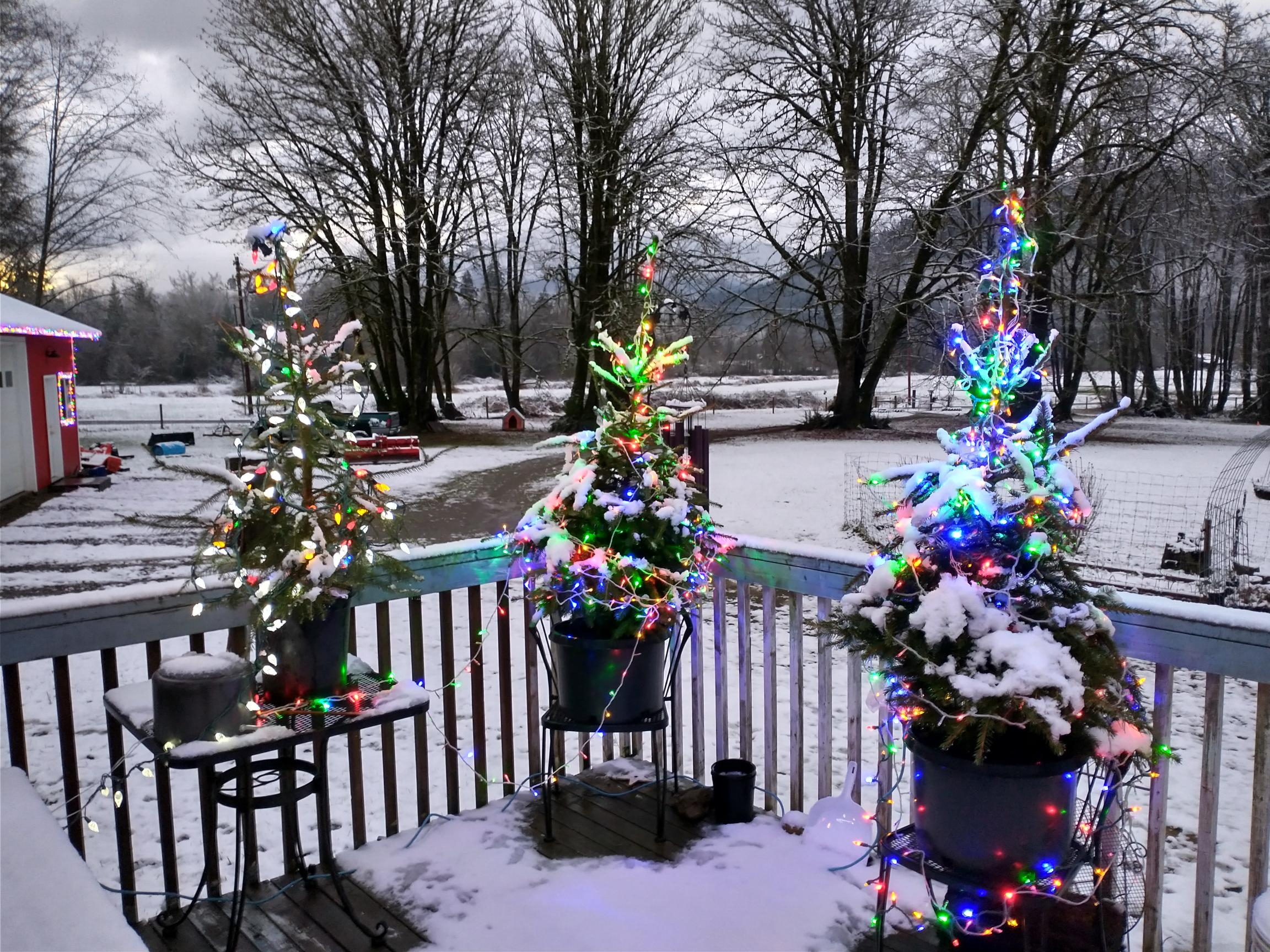 IMG_20201222_074353374_HDR.jpg