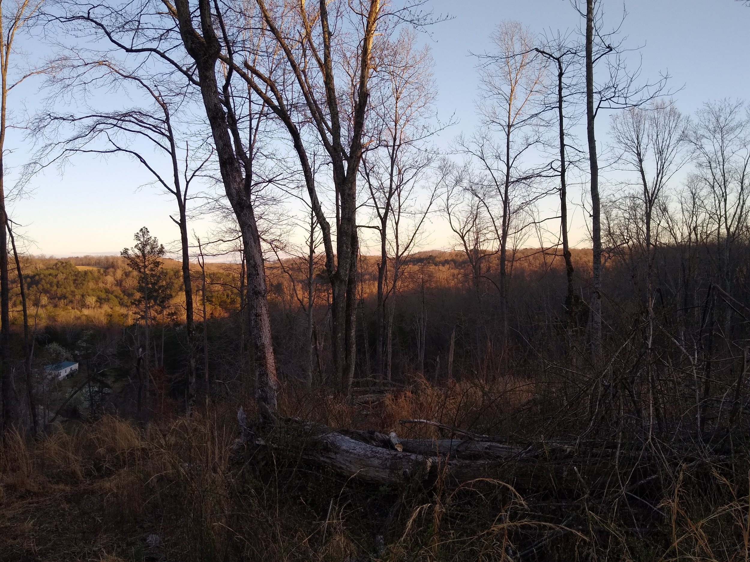 IMG_20220310_180625159.jpg