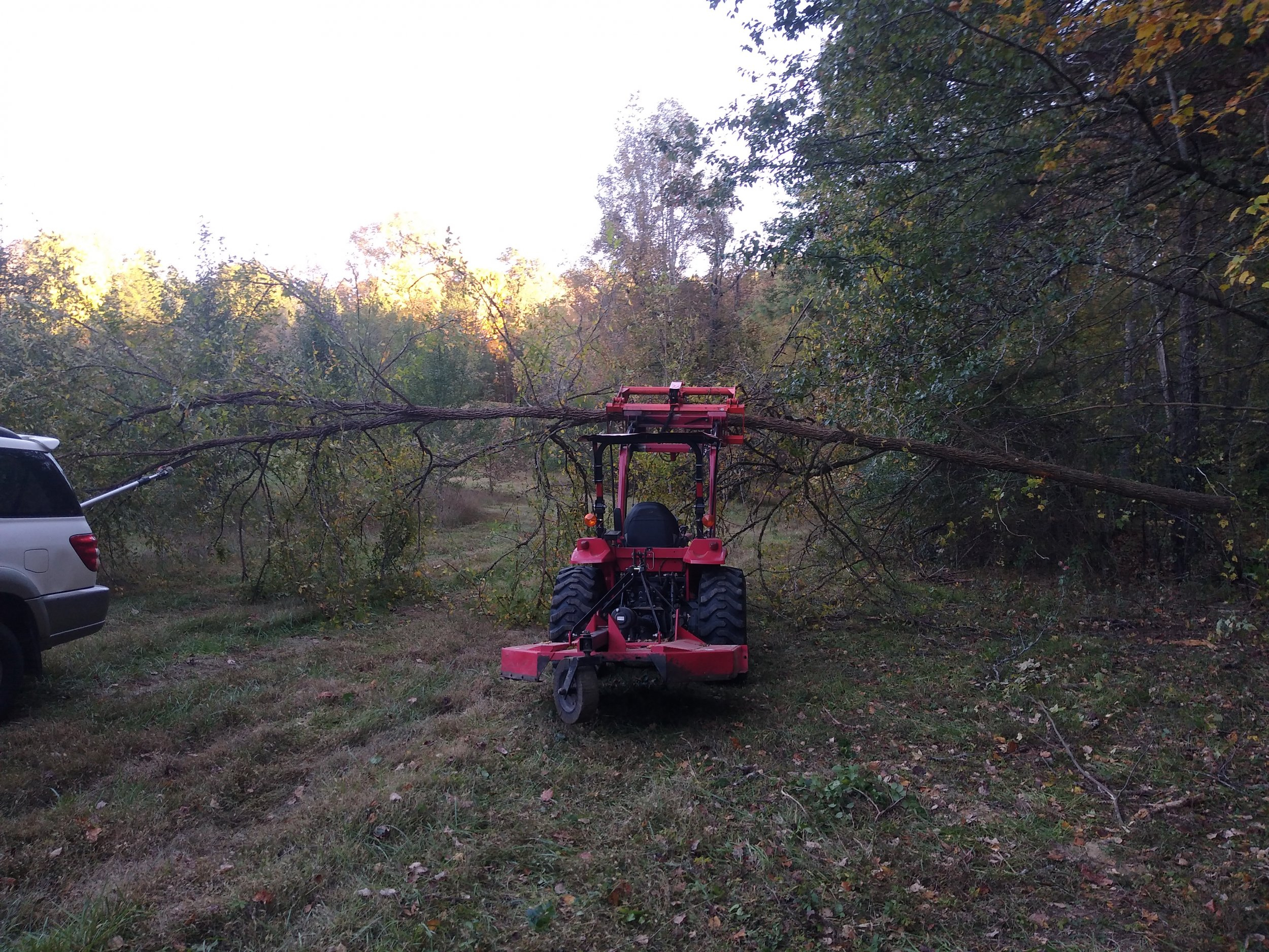 IMG_20221021_175118214.jpg