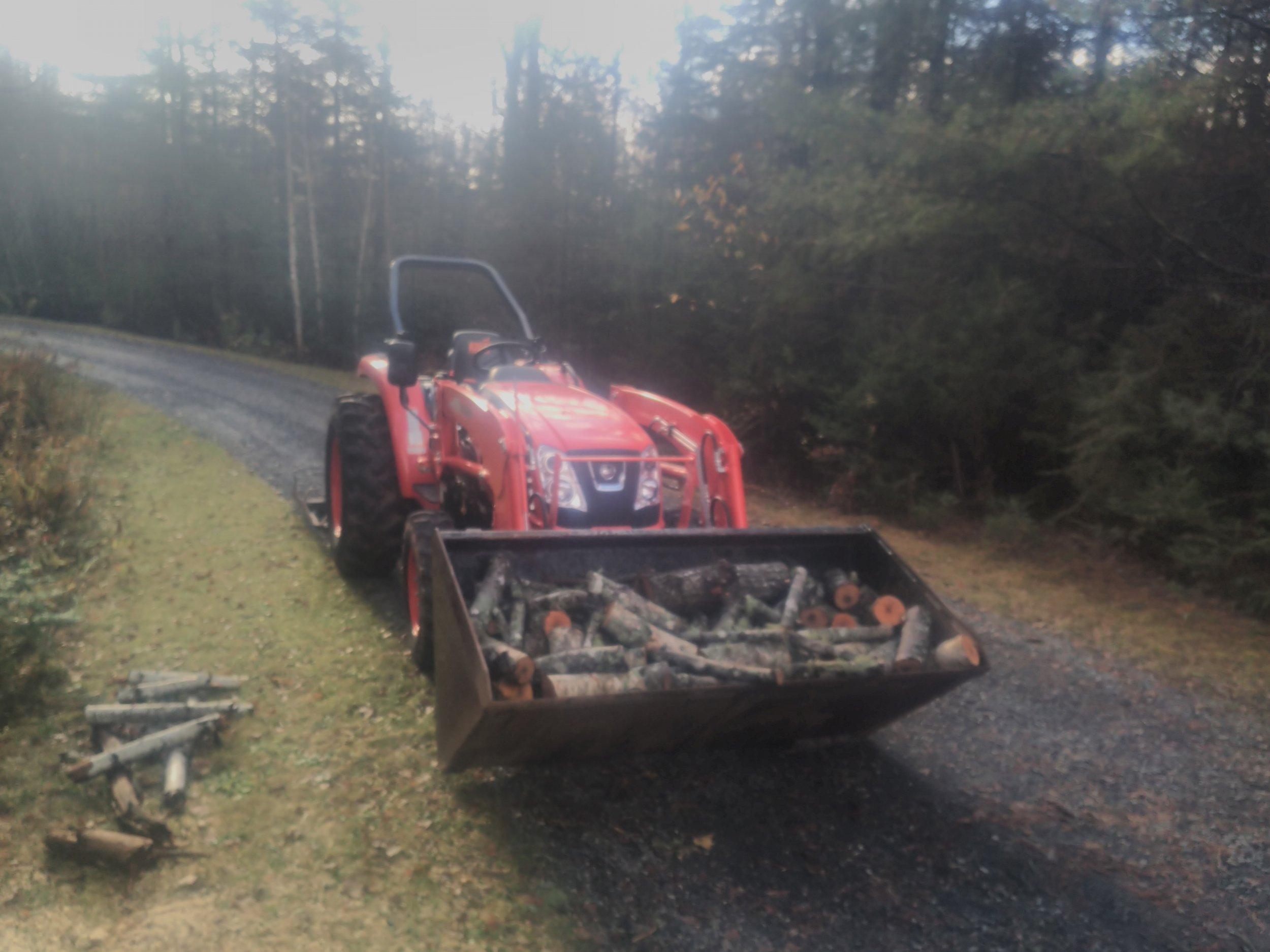 IMG_20221027_102816.jpg