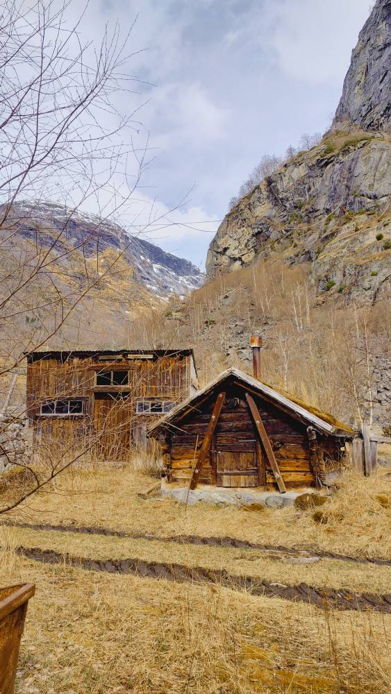 IMG_20230414_123415589_HDR.jpg